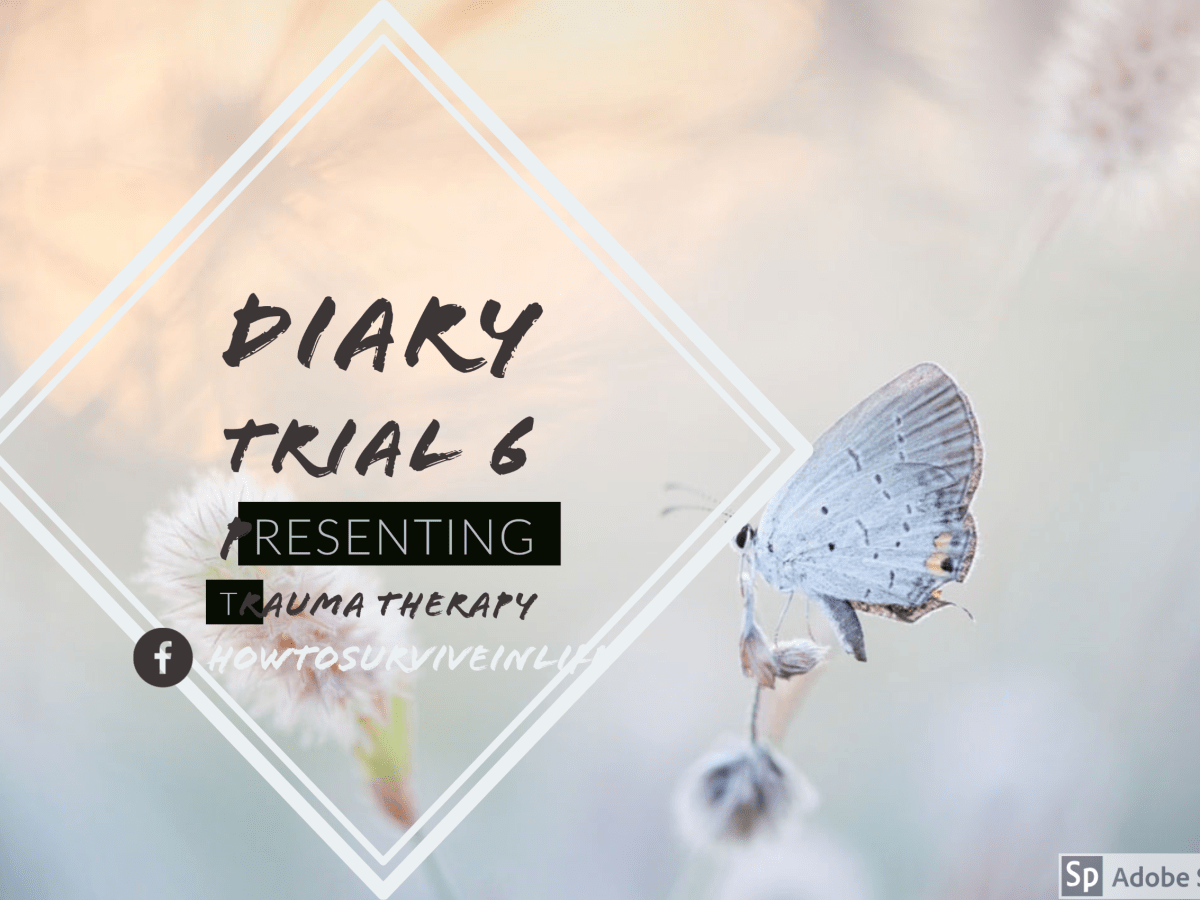 Dagboek traumaverwerking: trial&nbsp;6
